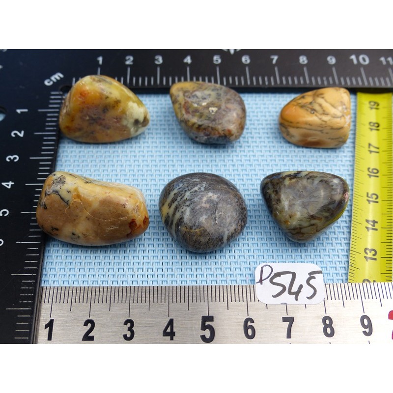 Opale à Dendrites Lot de 6 Pierres Semi Roulées 57g
