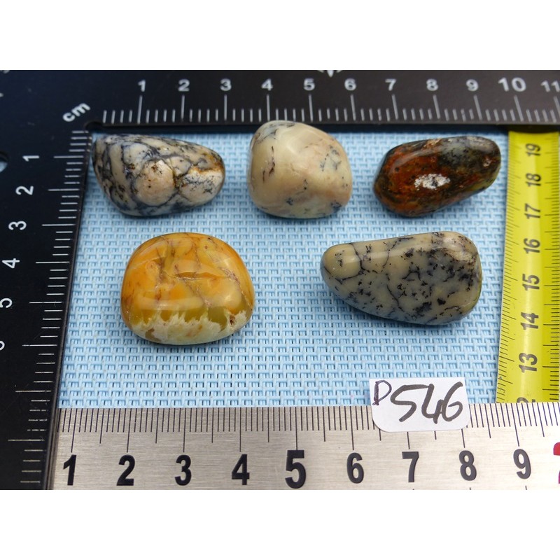 Opale à Dendrites Lot de 5 Pierres Semi Roulées 48g