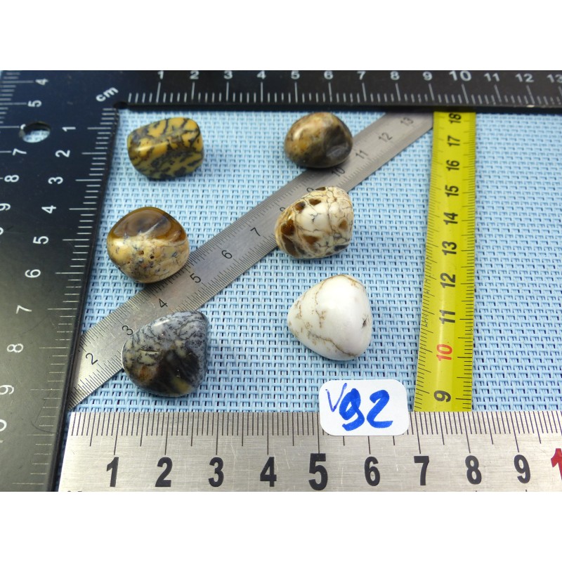 Opale à Dendrites Lot de 6 Pierres Roulées 30g