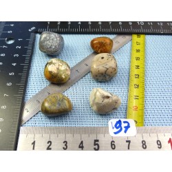 Opale à Dendrites Lot de 6 Pierres Roulées 42g