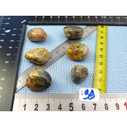 Opale à Dendrites Lot de 6 Pierres Roulées 41g