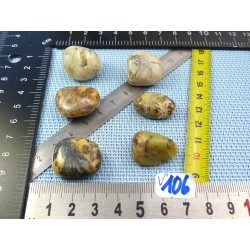 Opale à Dendrites Lot de 6 Pierres Roulées 38g