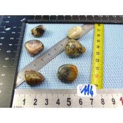 Opale à Dendrites Lot de 6 Pierres Roulées 31g