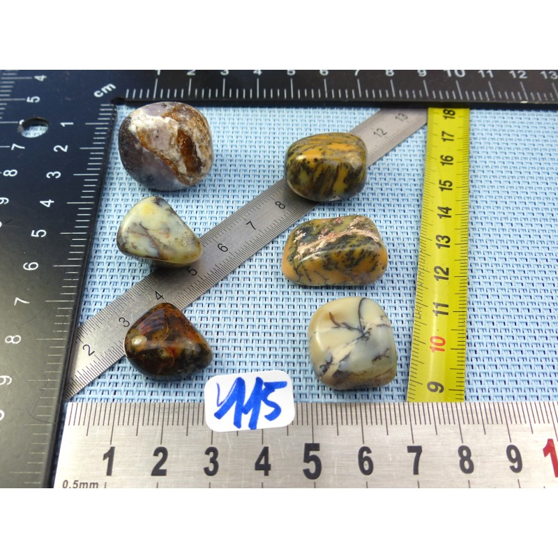Opale à Dendrites Lot de 6 Pierres Roulées 43g
