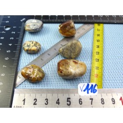 Opale à Dendrites Lot de 6 Pierres Roulées 45g