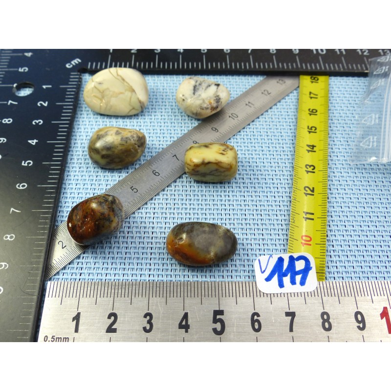 Opale à Dendrites Lot de 6 Pierres Roulées 27g