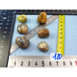Opale à Dendrites Lot de 6 Pierres Roulées 35g