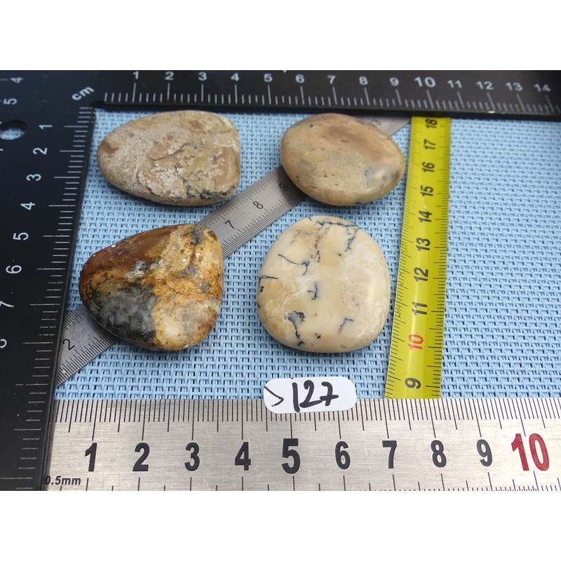 Opale à Dendrites Lot de 4 Pierres Plates 57g