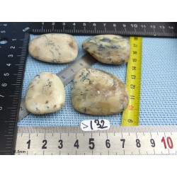 Opale à Dendrites Lot de 4 Pierres Plates 67g