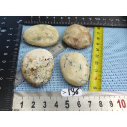 Opale à Dendrites Lot de 4 Pierres Plates 70g
