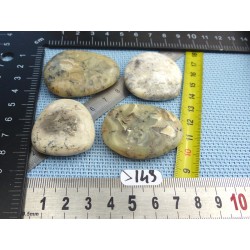 Opale à Dendrites Lot de 4 Pierres Plates 72g