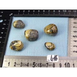 Sphalerite - Schalenblende Lot de 5 Pierres Semi Roulées 80g