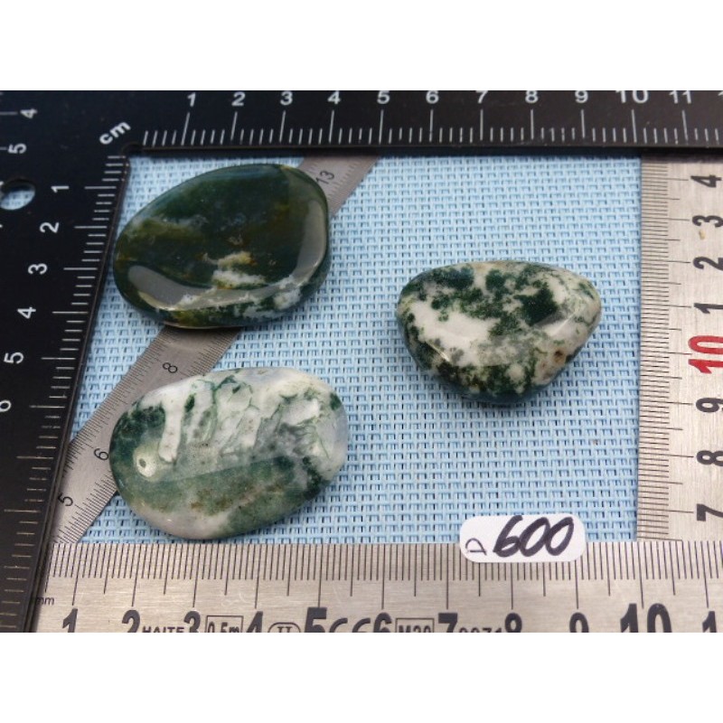 Agate Arborisée Lot de 3 Pierres Plates 57g