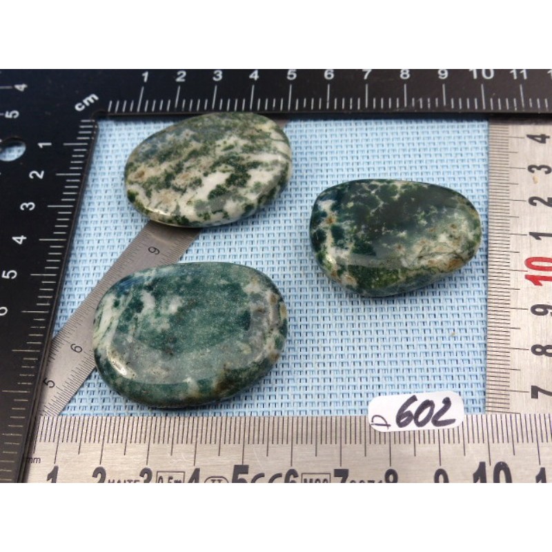 Agate Arborisée Lot de 3 Pierres Plates 67g