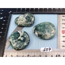 Agate Arborisée Lot de 3 Pierres Plates 71gr50