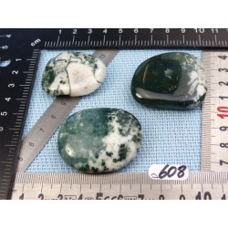 Agate Arborisée Lot de 3 Pierres Plates 80g