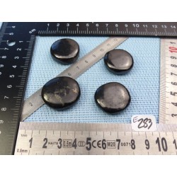 Shungite Lot de 4 Pierres Plates 41g