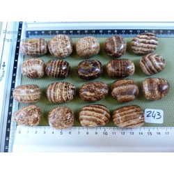 Aragonite Zonée Pierre Roulée à l unité de 27 à 30 gr