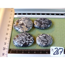 Pinolite Lot de 4 Pierres Plates Mini 59g