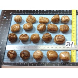 Aragonite Zonée Pierre Roulée à l unité de 15 à 18 gr