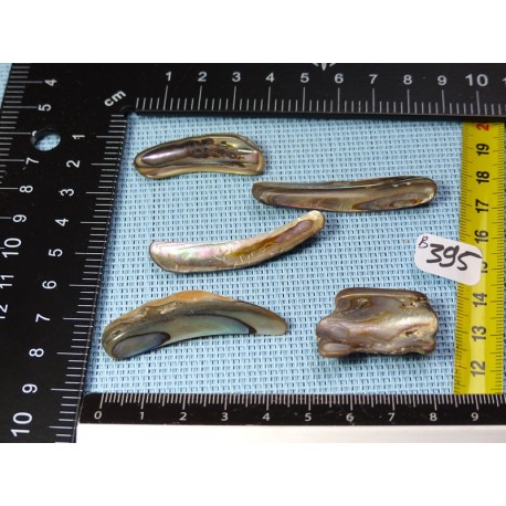 Nacre Abalone Lot de 5 Petales 17g