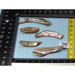 Nacre Abalone Lot de 5 Petales 18g