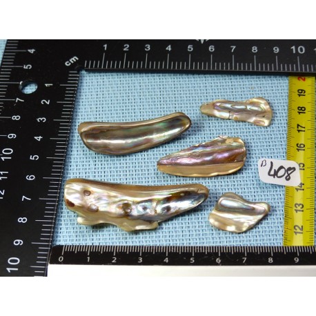 Nacre Abalone Lot de 5 Petales 17g