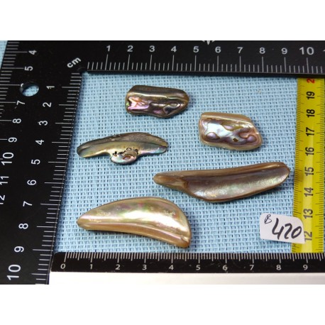 Nacre Abalone Lot de 5 Petales 22g