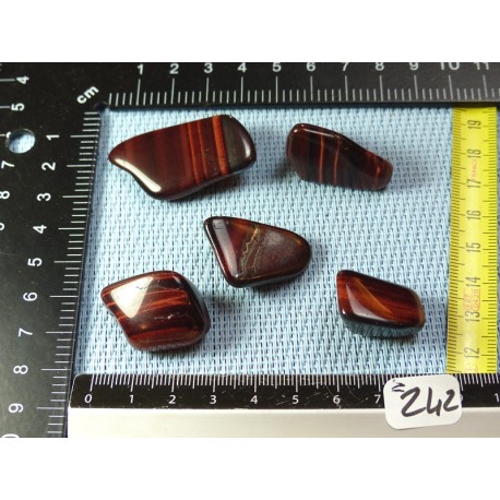 Oeil de Taureau - Oeil de Boeuf Lot de 5 Pierres Roulées 51g Oeil de Taureau - Oeil de Boeuf Lot de 5 Pierres Roulées 51g