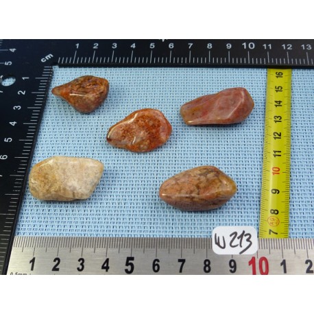 Agate Mousse Rose Lot de 5 Pierres Roulées 50g Agate Mousse Rose Lot de 5 Pierres Roulées 50g