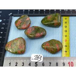 Unakite Lot de 5 Pierres Roulées 90gr