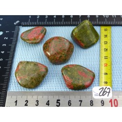 Unakite Lot de 5 Pierres Roulées 88gr