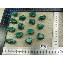 Malachite Q Extra Pierre Roulée à l unité de 22 à 25 gr