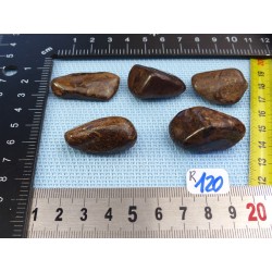 Bronzite Lot de 5 Pierres Roulées 65g