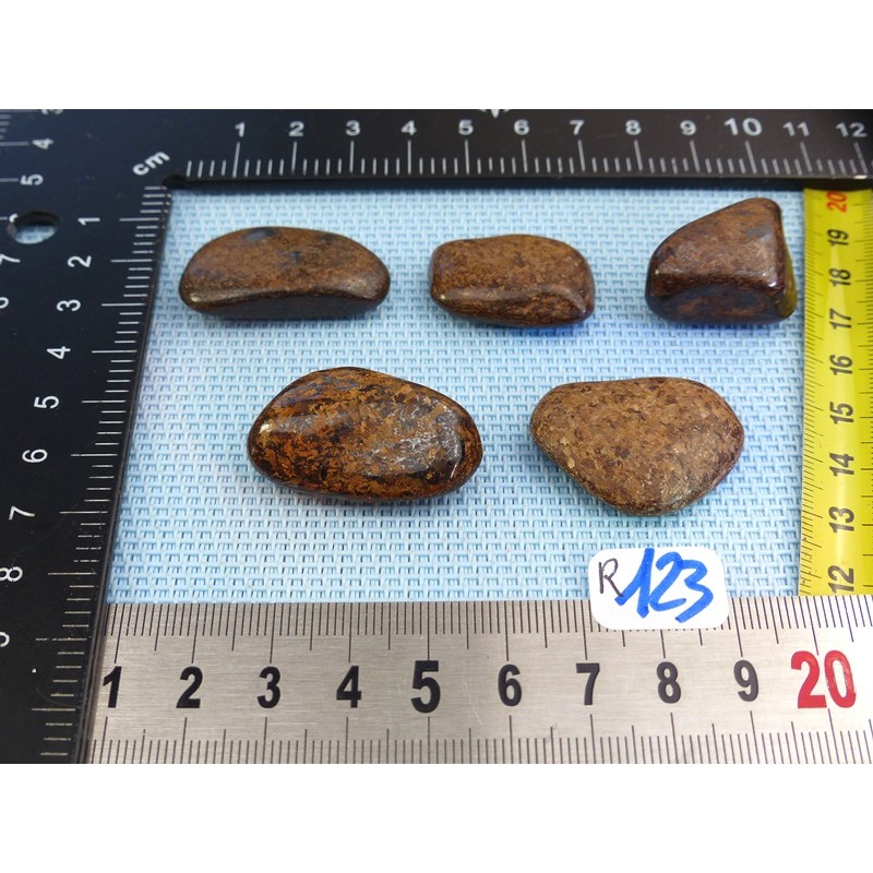 Bronzite Lot de 5 Pierres Roulées 55g