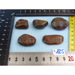 Bronzite Lot de 5 Pierres Roulées 57g