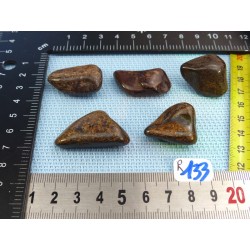 Bronzite Lot de 5 Pierres Roulées 67g