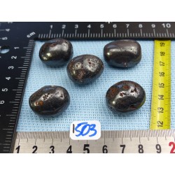 Magnetite Lot de 5 Pierres Roulées 107g
