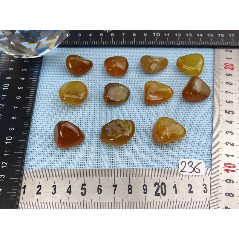 Agate Dorée - Miel d Inde Rare Naturelle Pierre Roulée Q Extra à l unité de 5 à 10 gr Agate Dorée - Miel d Inde Rare Naturelle Pierre Roulée Q Extra à l unité de 5 à 10 gr